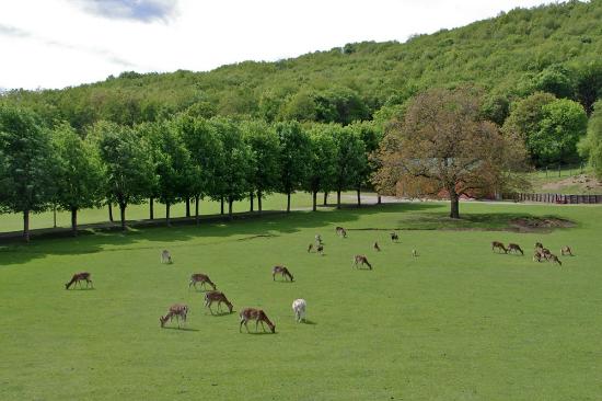 Parco Provinciale Monte Fuso - Parma