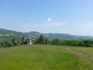 SAN-MICHELE-DI-MORFASSO
