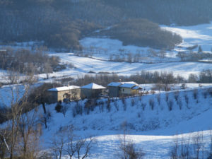 tolè