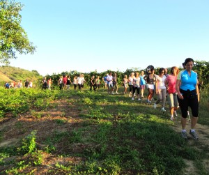 Giornata del Camminare @ Coriano RN | Coriano | Emilia-Romagna | Italia