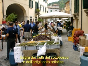 Sagra dei Frutti del Sottobosco @ Portico di Romagna FC | Portico di Romagna | Emilia-Romagna | Italia