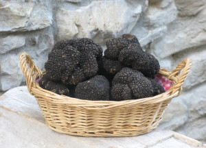 Fiera Nazionale del Tartufo Nero di Fragno @ Calestano PR | Calestano | Emilia-Romagna | Italia