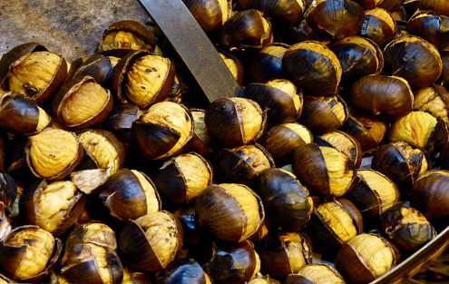 marroni-festa-di-san-martino-unpli-pro-loco-emilia-romagna