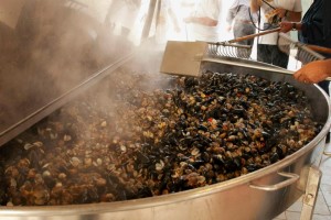 21° Sagra della Vongola Verace e 140° Fiera di Sant'Antonio @ Goro