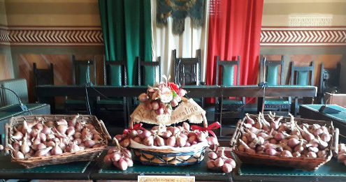 scalogno-piacentino
