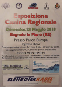 Esposizione Canina Regionale @ Bagnolo in Piano (RE) | Bagnolo In Piano | Emilia-Romagna | Italia